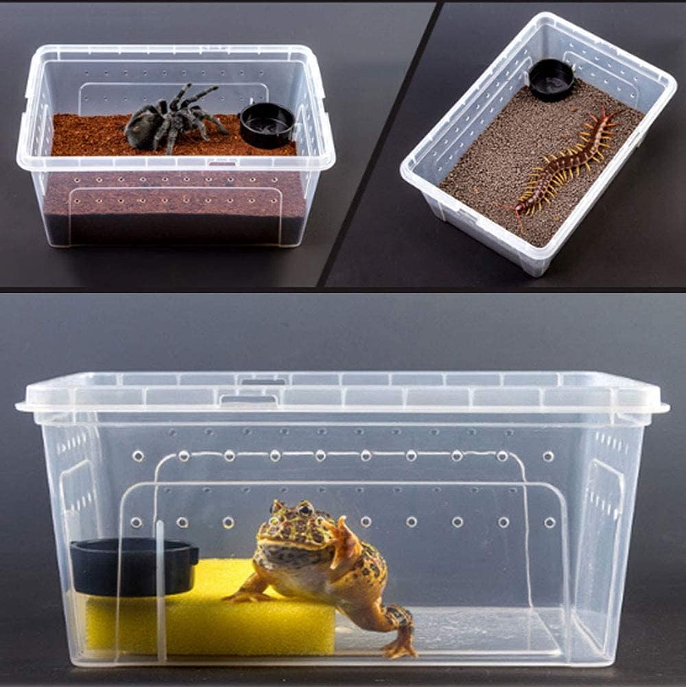 kathson Reptile Feeding Box Portable Small Snake Terrarium Habitat Mini Pet Breeding Cage Hatching Container Transparent Lizard Houses for Tarantula Spider Scorpion Gecko Frog 2PCS (Black)